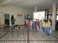 IMG_0781_resize